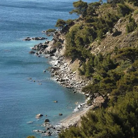 Vacances Au Soleil à 200 M De La Mer Lejlighed La Seyne-sur-Mer
