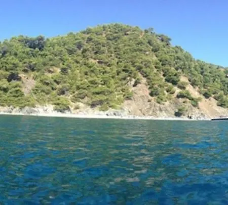 Vacances Au Soleil à 200 M De La Mer La Seyne-sur-Mer